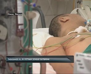 Thousands ill in Vietnam dengue outbreak