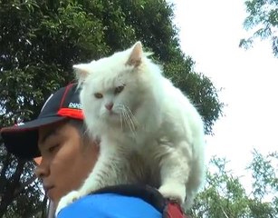 Paw's Planet (Episod 2): Fluffy, si comel rider