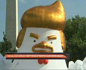 Patung ayam gergasi mirip Donald Trump di luar White House