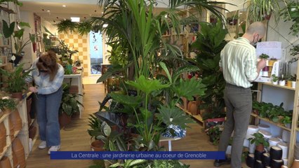 Reportage - Une jardinerie urbaine