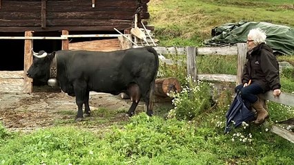 Vedette Bande-annonce VF (2022) Claudine Bories, Patrice Chagnard