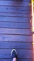 JALAN KE TUMPENG MENOREH