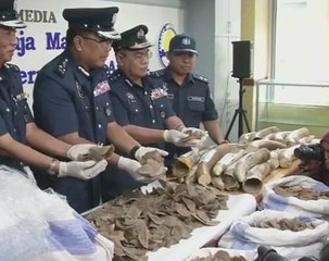 Malaysia seizes nearly $1 million in trafficked wildlife at airport