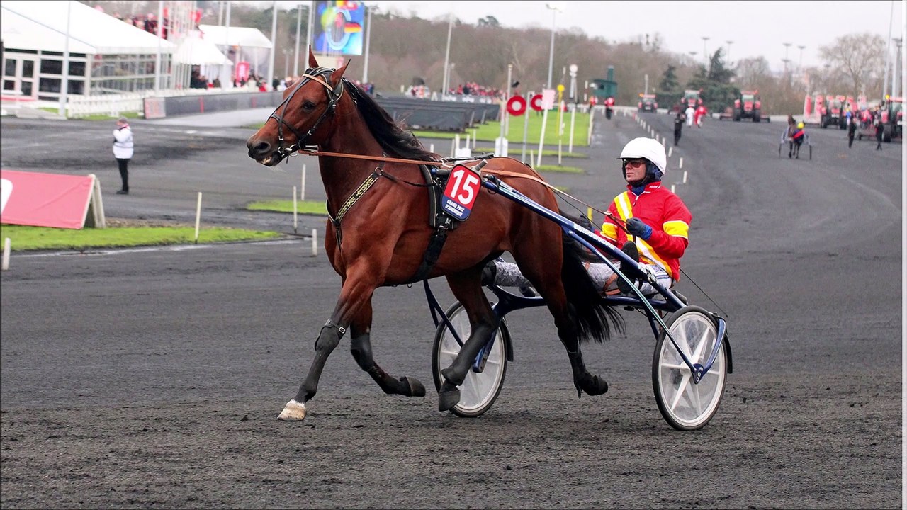 Pronostic pour le Quinté du mercredi 2 mars 2022