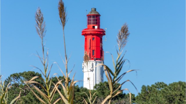 Visite du bassin d'Arcachon en hiver