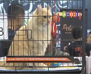 National Meow Fest 2017 medan pertempuran pemilik dan pencinta kucing