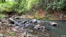 Costa Rica: reforestación contra la falta de agua