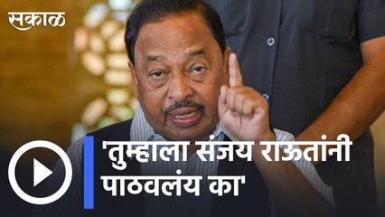 Narayan Rane |तुम्हाला संजय राऊतांनी पाठवलंय का ?;राणेंच्या उत्तरावर अधिकाऱ्यांचा हशा | Sakal |