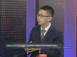 Forest City: Will it change Malaysia's demographics?