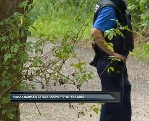 Swiss chainsaw attack suspect still at-large