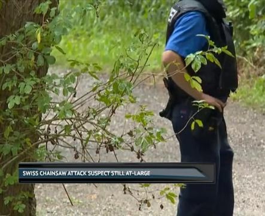 Swiss chainsaw attack suspect still at-large