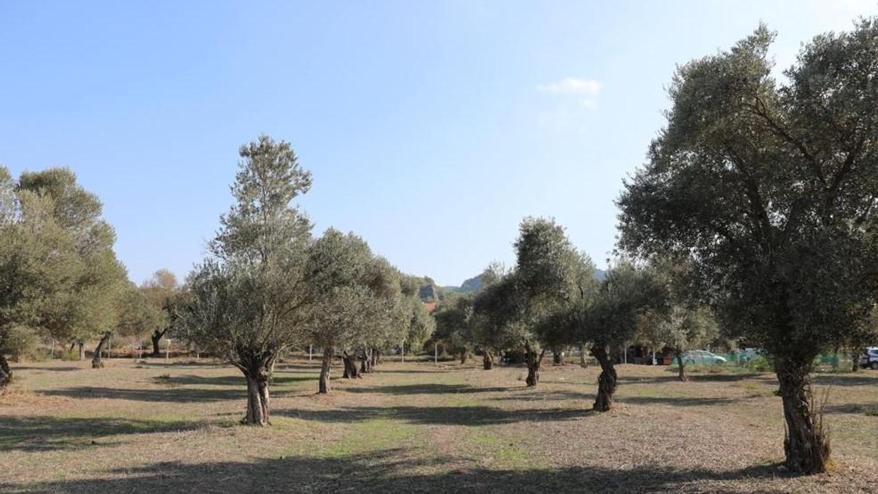 ‘5’li çete için maden yönetmeliği değiştirildi’