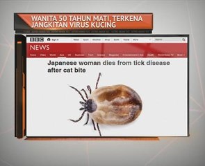 Wanita 50 tahun mati, terkena jangkitan virus kucing