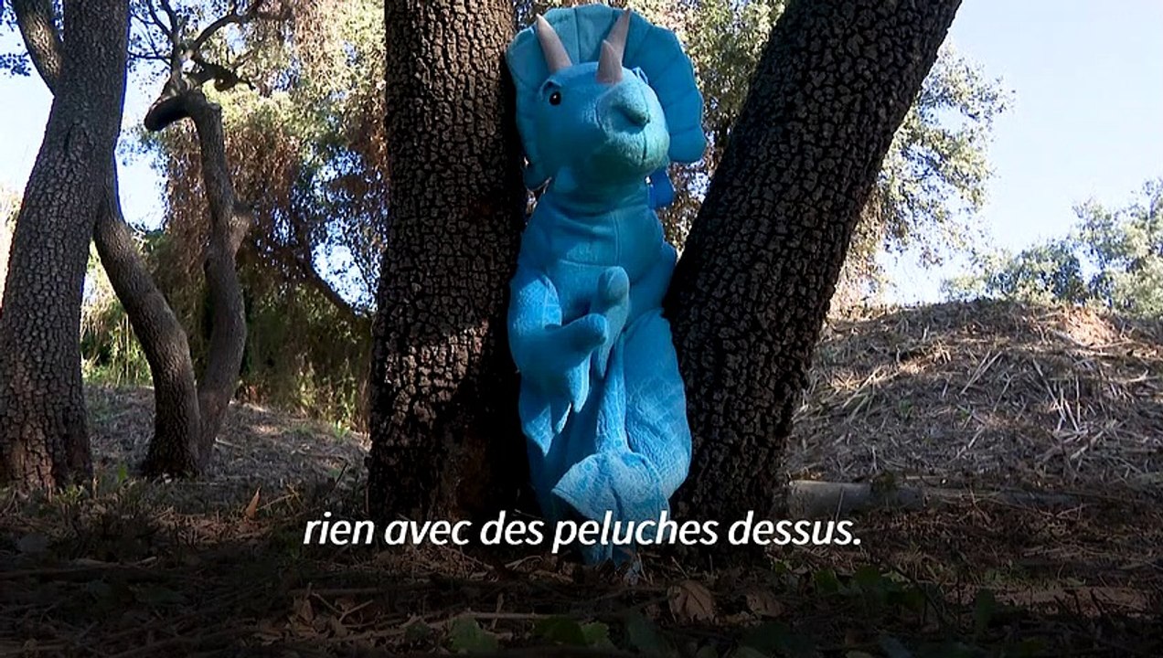 Début de fouilles historiques sur les traces de tombes d’enfants harkis