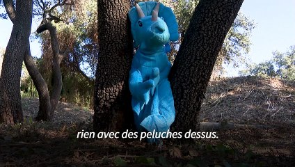 Début de fouilles historiques sur les traces de tombes d’enfants harkis