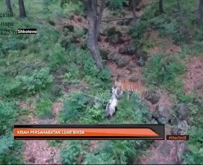 Kisah persahabatan luar biasa