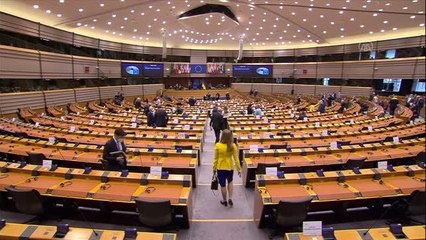 Ukrayna Devlet Başkanı Zelenskiy, AP oturumuna bağlandı