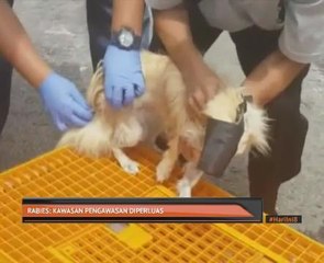 Rabies: Kawasan pengawasan diperluas