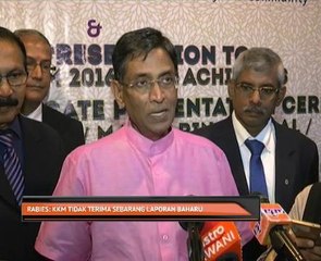 Rabies: KKM tidak terima sebarang laporan baharu