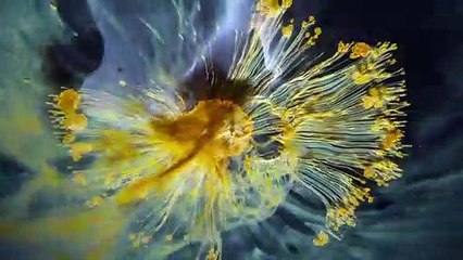 Voyage of Time, il trailer del documentario di Terrence Malick