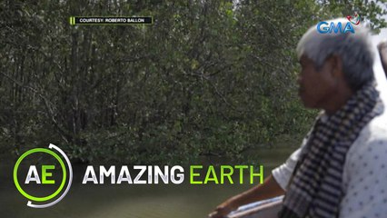 Amazing Earth: Eye for an eye: nature’s answer to human actions