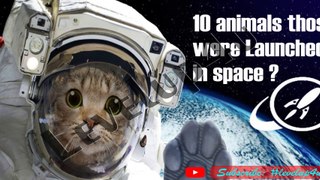 Animals In Space Before Humans|| What Happens To Animals In Space|| Animals in space Return
