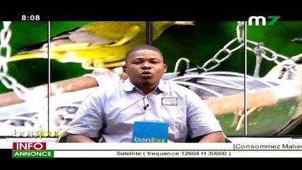 BONJOUR LE MALI DU 01 MARS 2022