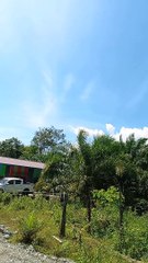 Burung Elang Cari Mangsa