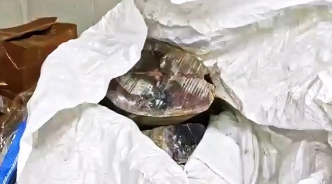 Sicilia - Pesce spada e tonno rosso non regolare, scaduto o mal conservato: blitz della Guardia Costiera (01.03.22)