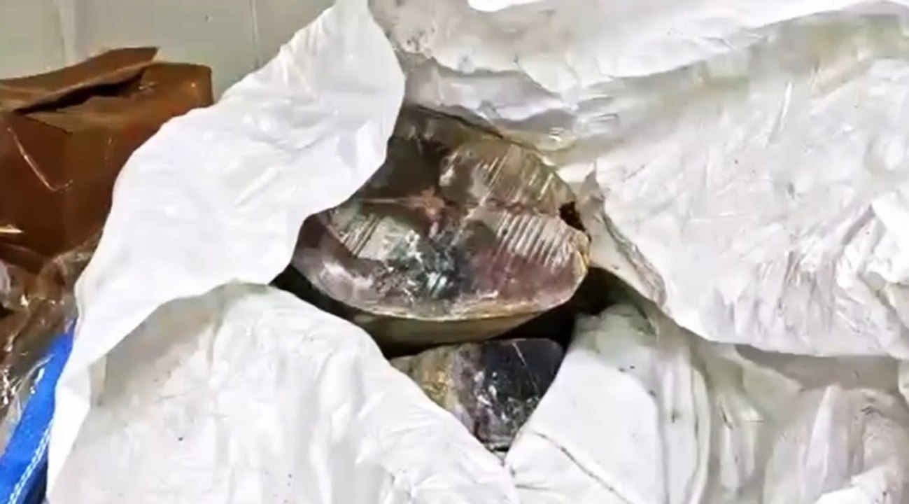 Sicilia - Pesce spada e tonno rosso non regolare, scaduto o mal conservato: blitz della Guardia Costiera (01.03.22)