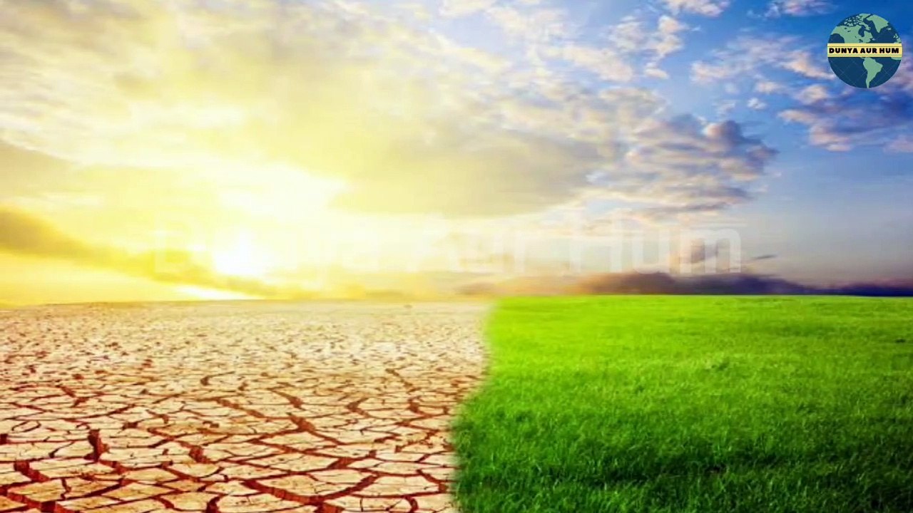 ||The Great Sahara Desert|| Interesting Facts About Sahara Desert  #SaharaDesert