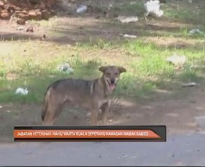 Jabatan Veterinar mahu warta Kuala Sepetang kawasan wabak rabies