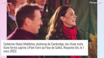 Kate et William en tenues parfaitement assorties, la duchesse si heureuse au milieu des cabris !