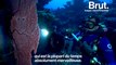 Nouvelle-Calédonie : plongée dans les derniers récifs vierges de la planète