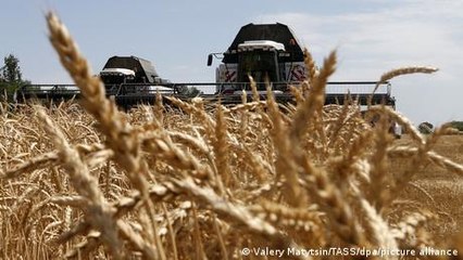 Turkey fears higher prices for Russian produce