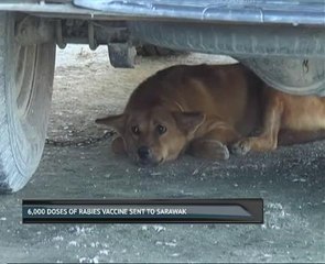 6,000 doses of rabies vaccine sent to Sarawak