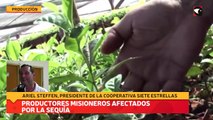 Productores misioneros afectados por la sequía