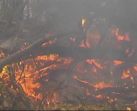 Forest fires in Russia's Siberia spread
