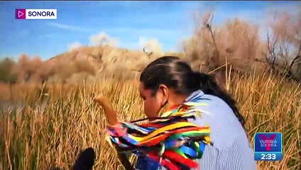 El muro fronterizo sentencia a especies en el desierto de Sonora