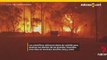 Los científicos vinculan el humo de los incendios forestales con el agotamiento del ozono