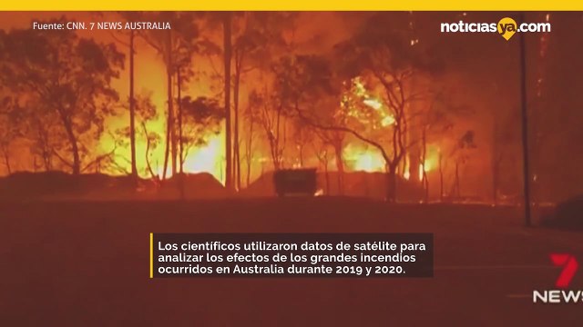 Los científicos vinculan el humo de los incendios forestales con el agotamiento del ozono