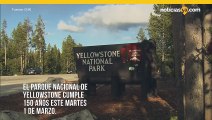 El Parque Nacional de Yellowstone cumple 150 años este martes 1 de marzo.