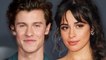 Camila Cabello Teases Lyrics From ‘Bam Bam’ & Fans Think It’s About Shawn Mendes