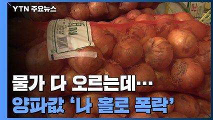 "물가 다 오르는데"...'나 홀로 폭락' 양파, 왜? / YTN