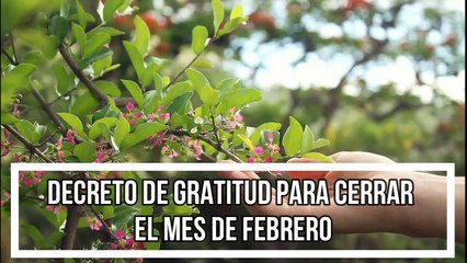 DECRETO DE GRATITUD PARA CERRAR EL MES DE FEBRERO