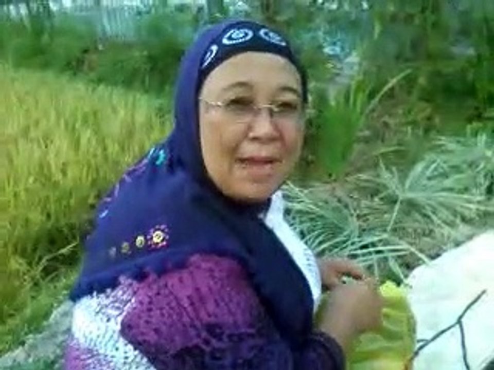 travelling flowers park