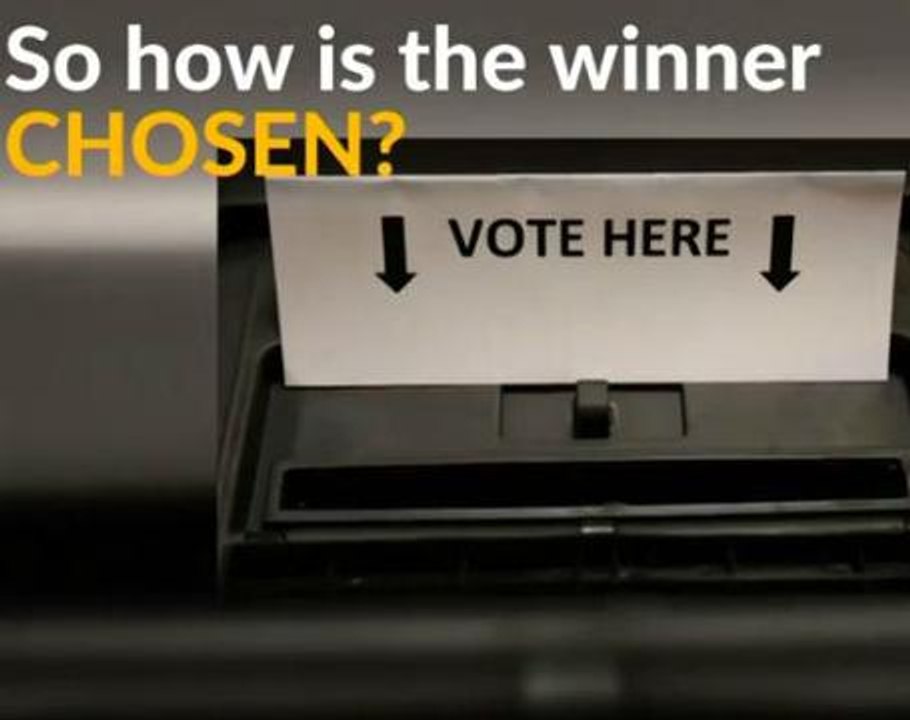 How does the UK election process work?