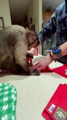 Valentines just a few of my valentines cards!