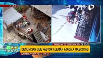 SJL: vecinos denuncian que perro pastor alemán ataca a sus mascotas desde hace un año