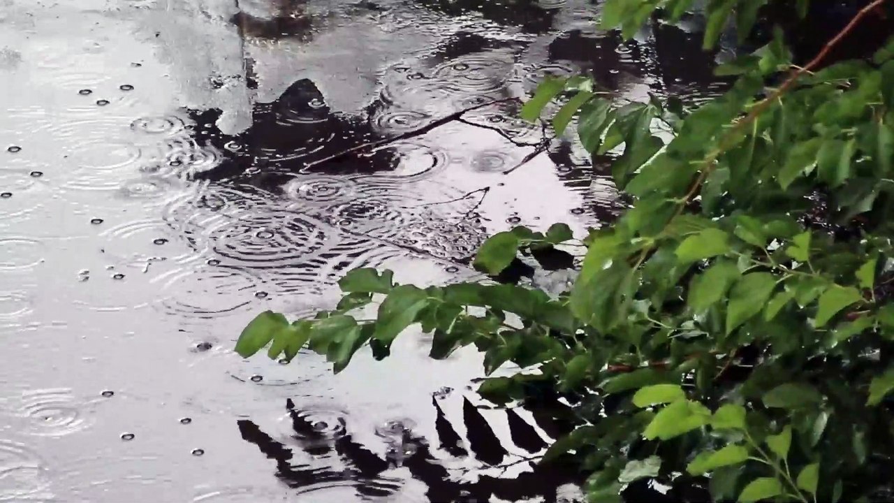 Heavy Rain